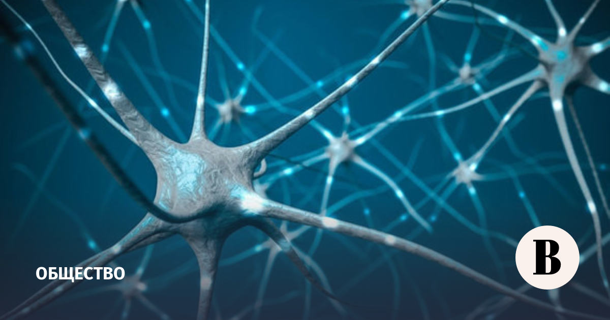 «Сбер» запустил сервис постановки диагноза с помощью нейросетей - Ведомости