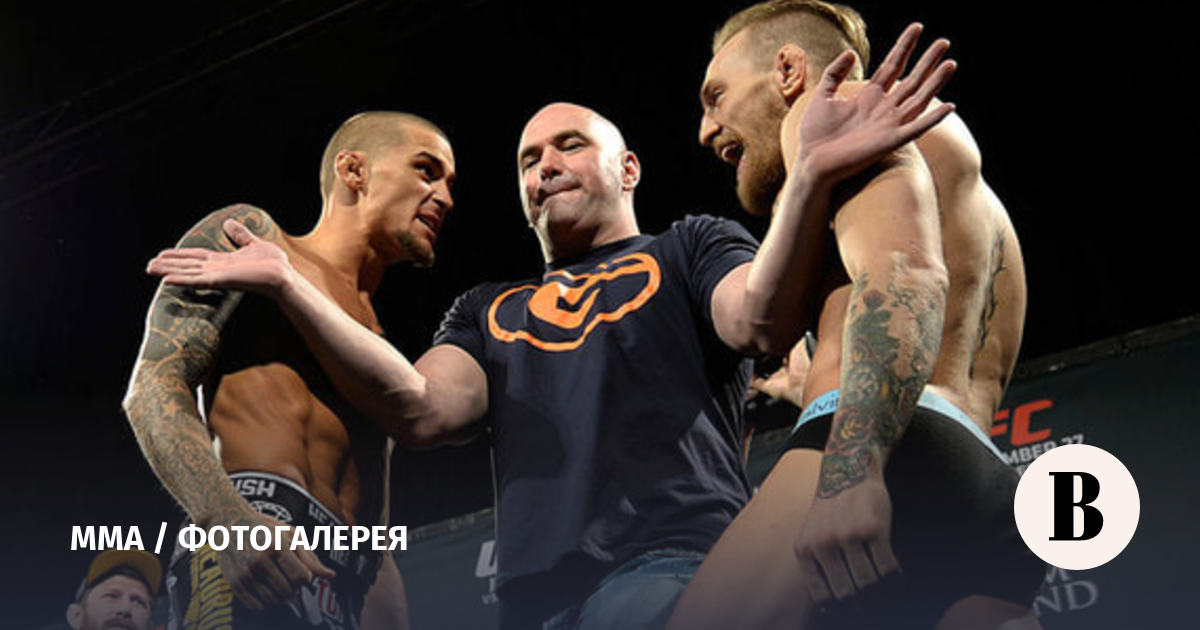 Прогнозы бойцов на бой грядущий бой Хабиба Нурмагомедова и