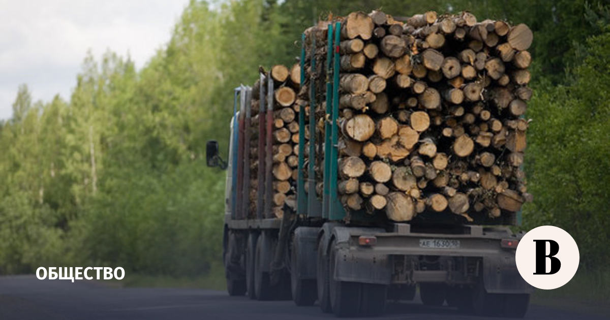 Россия ввела запрет на экспорт. Осторожно вывозка древесины. Знак вывозка древесины. Внимание вывозка леса. КАМАЗ 6520 лес кругляк.