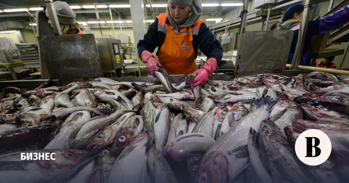 US ramps up pollock production in the Bering Sea