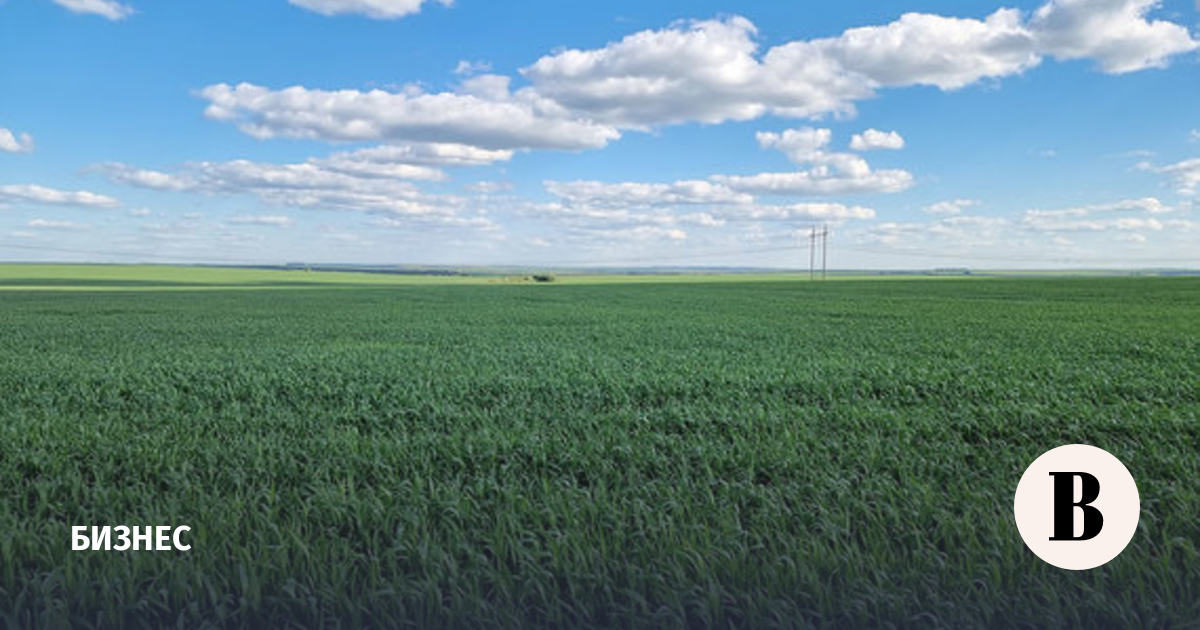 4 000 га. 1000 гектар ферма. Украинское пшеничное поле. Ирина корнеева участок 200 гектар сосновское. Гектар 100 на 100 метров.