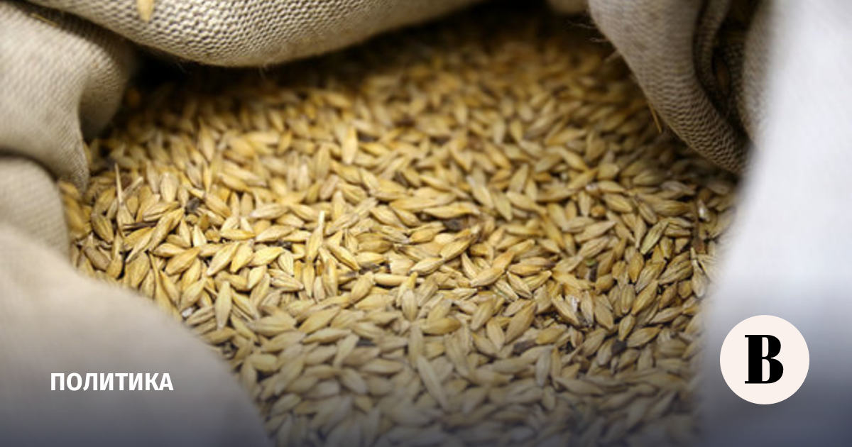 Ministry of Foreign Affairs: the project to supply 1 million tons of grain to Turkey is at the development stage