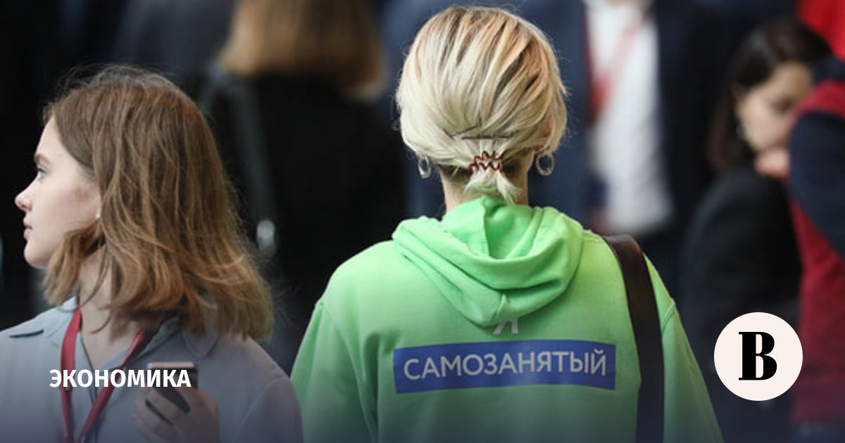 Совфед предложил правительству варианты решения проблемы с пенсией самозанятых