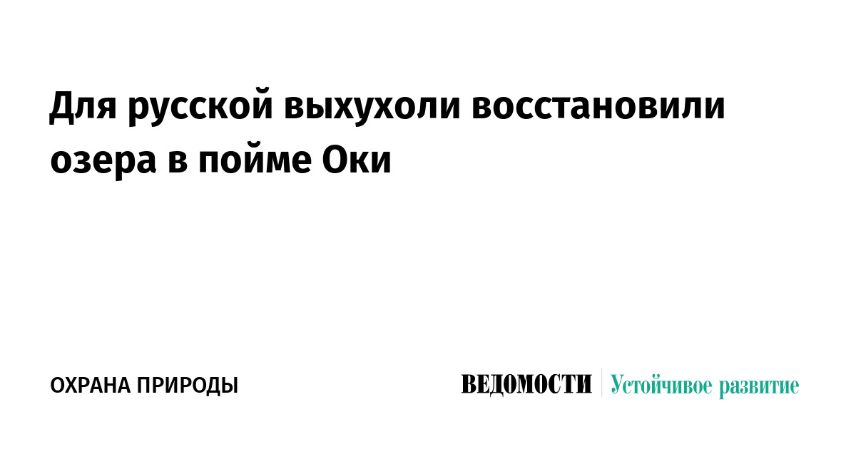 Для русской выхухоли восстановили озера в пойме Оки