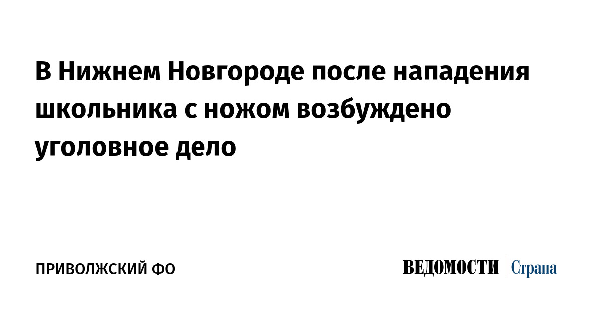 В Нижнем Новгороде после нападения школьника с ножом возбуждено уголовное дело