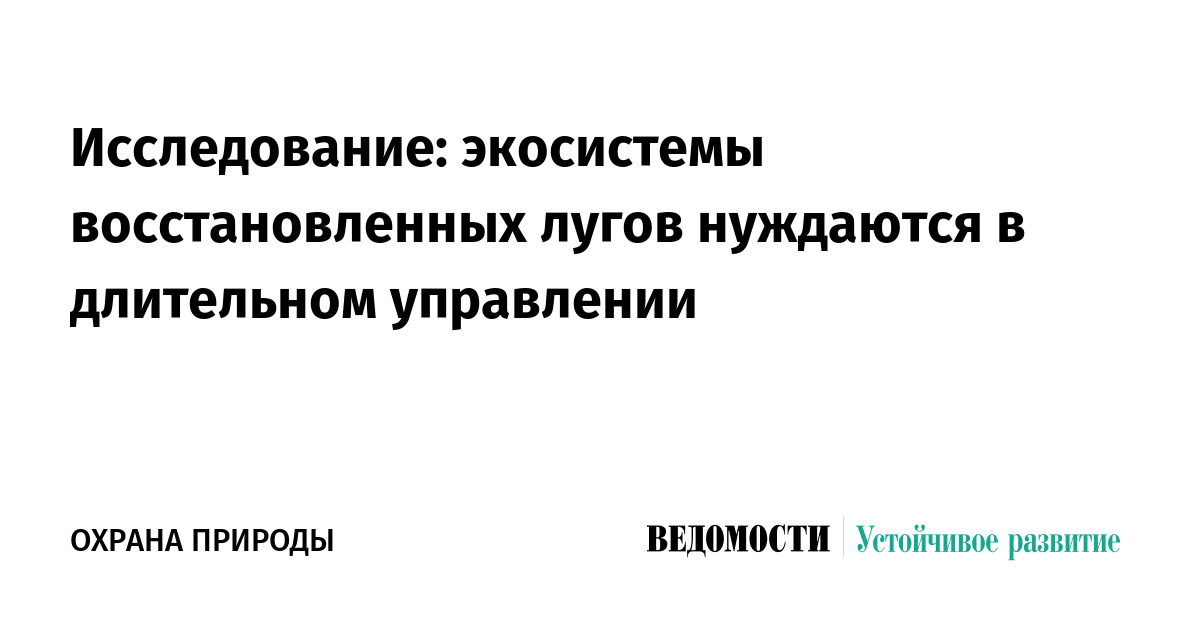 Исследование: экосистемы восстановленных лугов нуждаются в длительном управлении