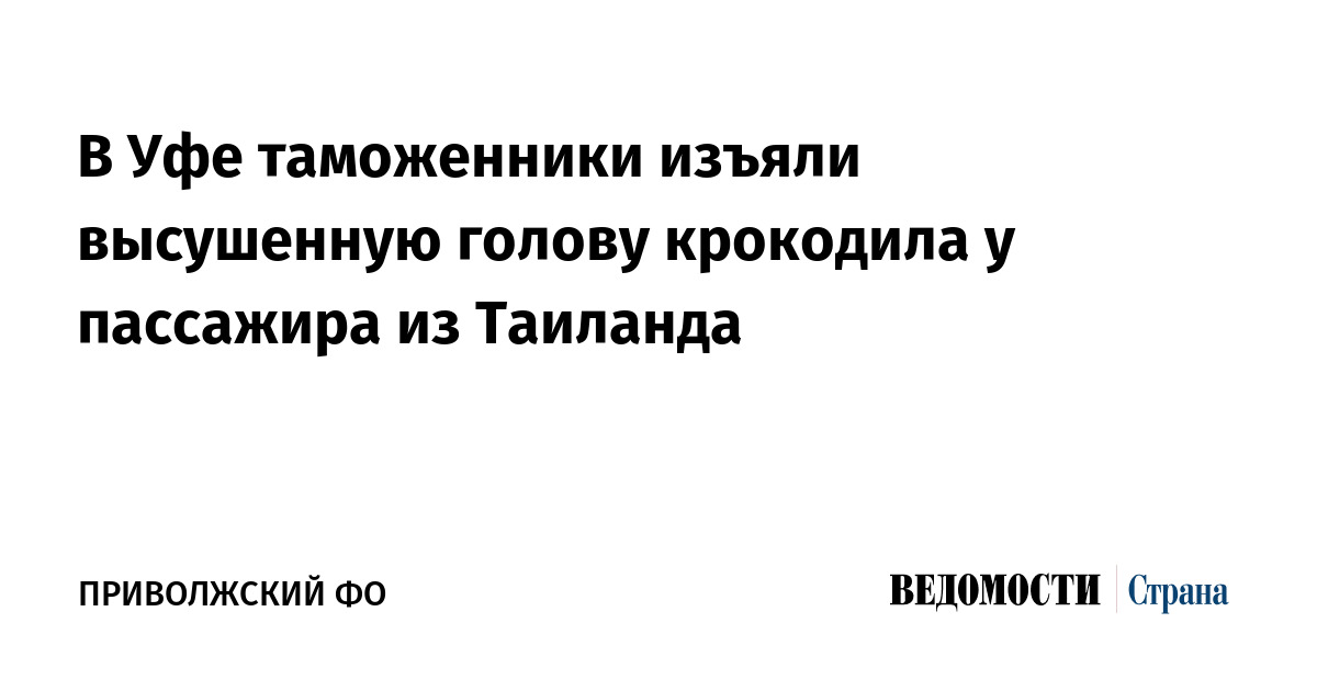 В Уфе таможенники изъяли высушенную голову крокодила у пассажира из Таиланда