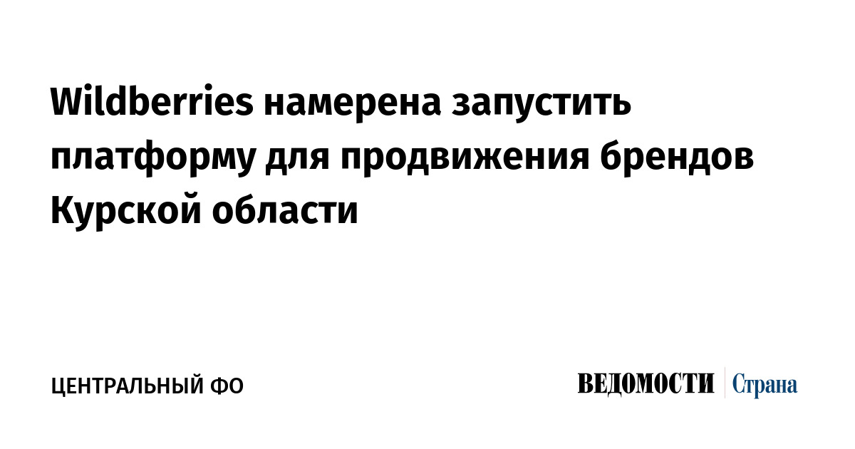 Wildberries намерена запустить платформу для продвижения брендов Курской области