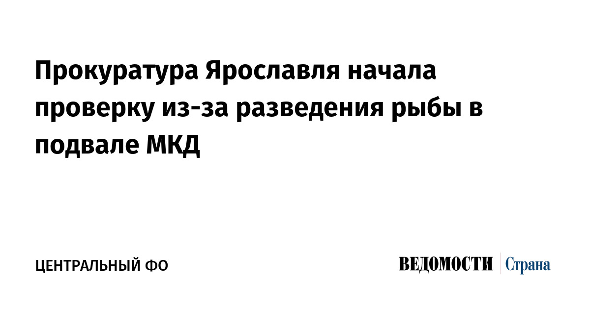 Прокуратура Ярославля начала проверку из-за разведения рыбы в подвале МКД