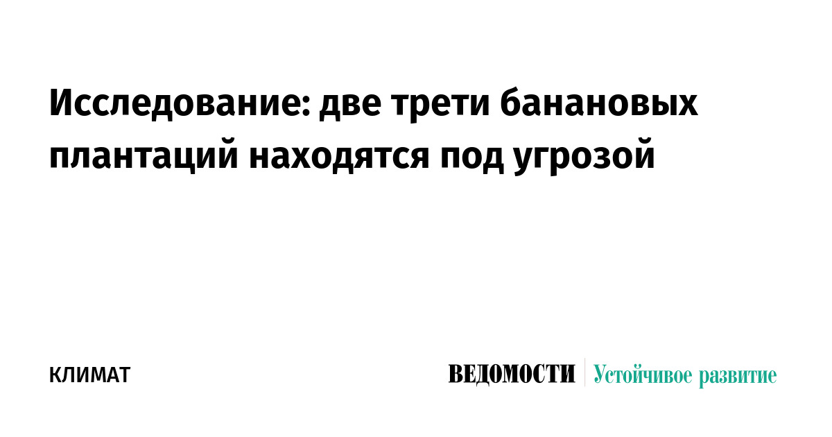 Исследование: две трети банановых плантаций находятся под угрозой