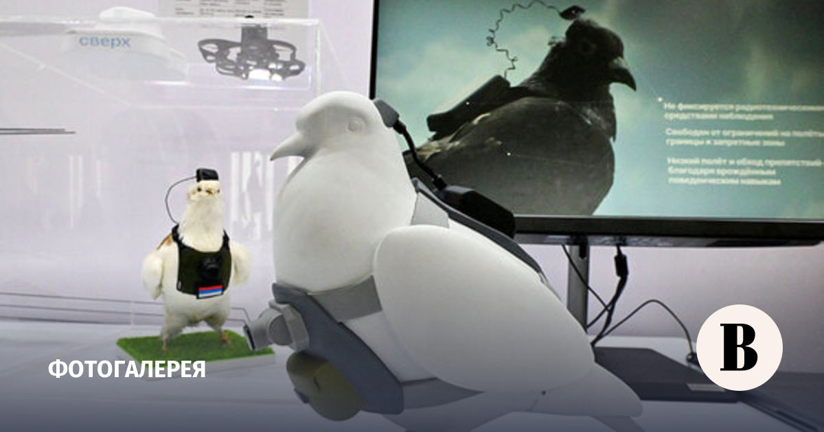 Как проходит форум «Беспилотные системы: технологии будущего»