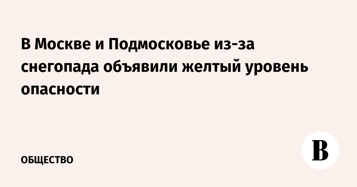 В Москве и Подмосковье из-за снегопада объявили желтый уровень опасности
