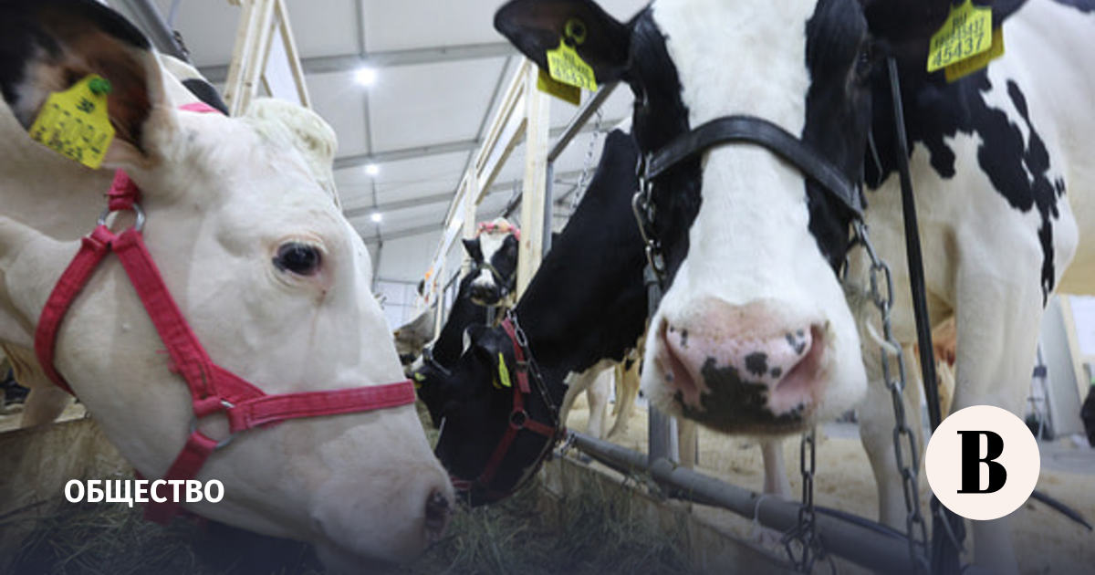 Ветеринарный контроль и режим ЧС в регионе