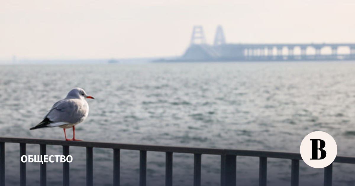 В очереди на Крымском мосту стоят более 1300 автомобилей