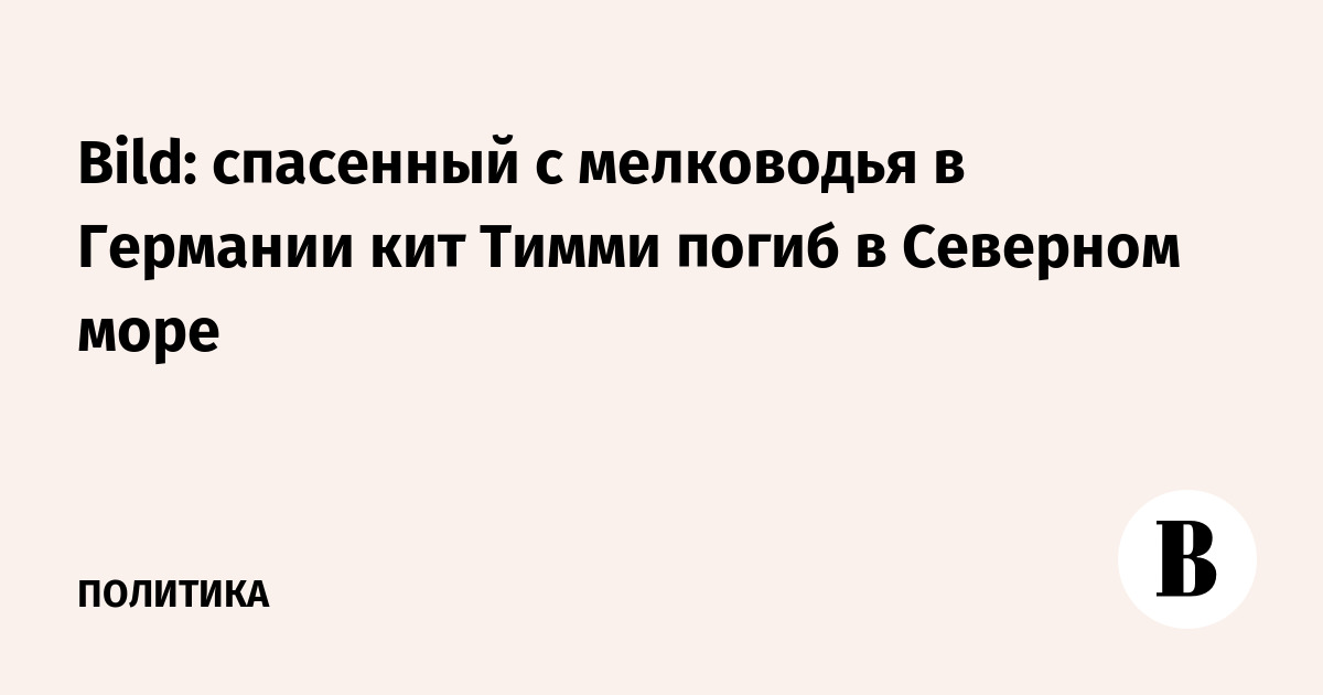 Bild: спасенный с мелководья в Германии кит Тимми погиб в Северном море