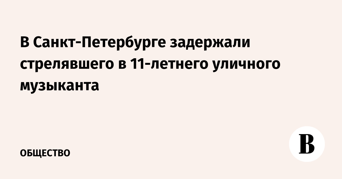 В Санкт-Петербурге задержали стрелявшего в 11-летнего уличного музыканта