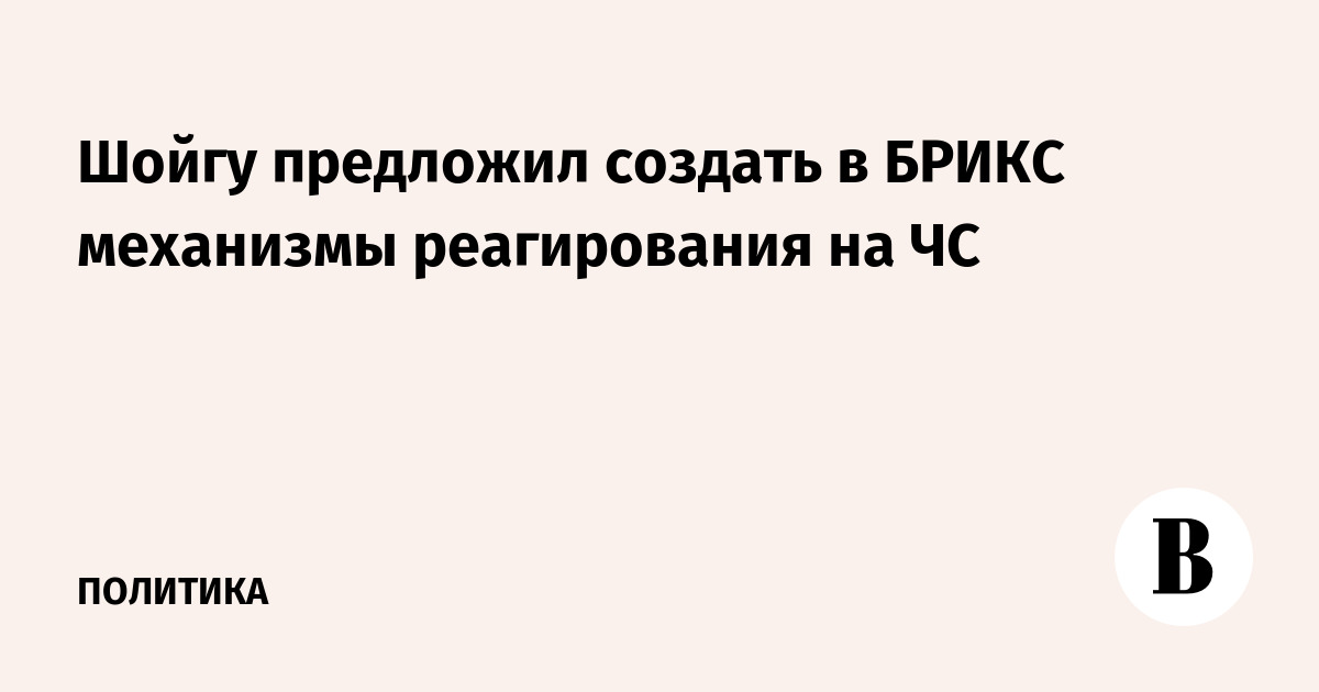 Шойгу предложил создать в БРИКС механизмы реагирования на ЧС