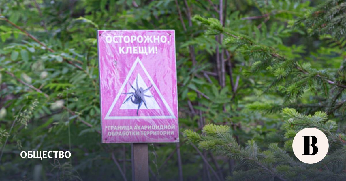 Роспотребнадзор объяснил, кто такие «наноклещи»