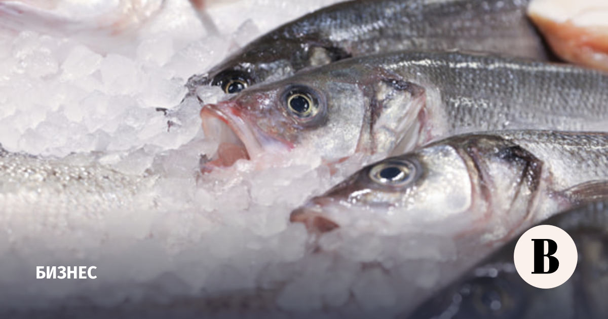 Выручка от поставок рыбы и морепродуктов в Китай выросла в 1,5 раза