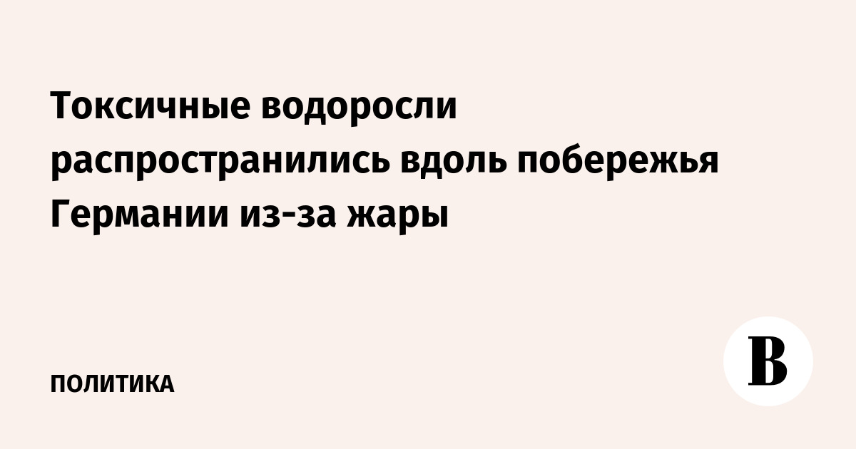 Токсичные водоросли распространились вдоль побережья Германии из-за жары