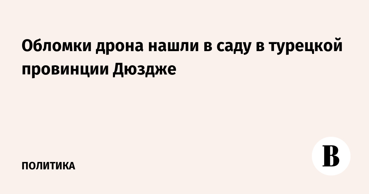 Обломки дрона нашли в саду в турецкой провинции Дюздже