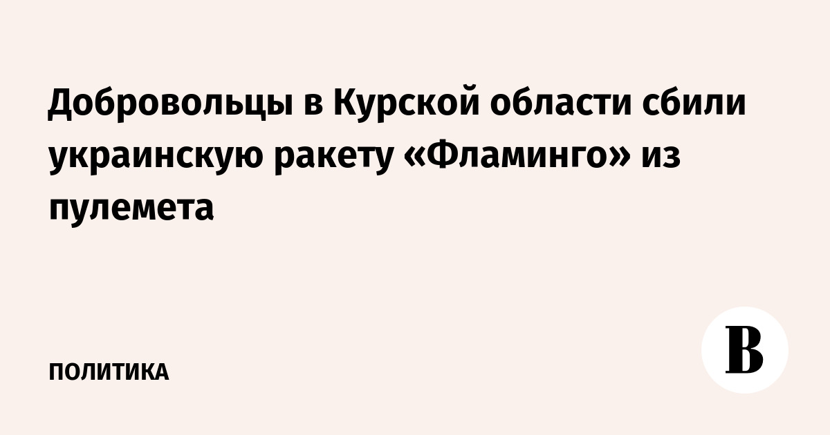 Добровольцы в Курской области сбили украинскую ракету «Фламинго» из пулемета