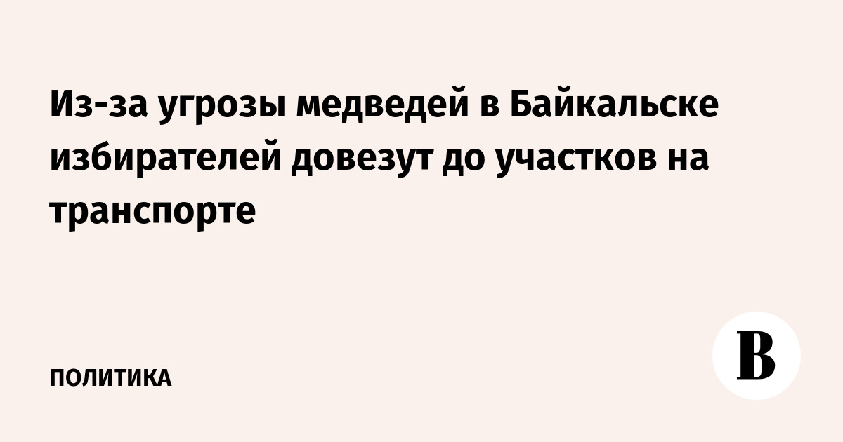Из-за угрозы медведей в Байкальске избирателей довезут до участков на транспорте