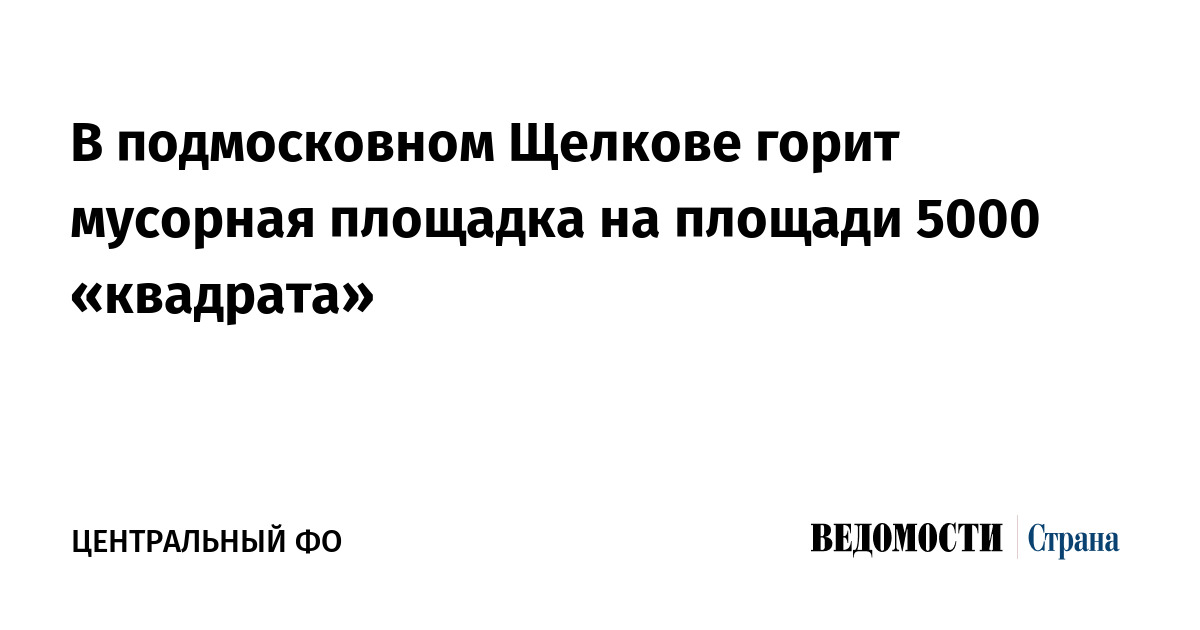 В подмосковном Щелкове горит мусорная площадка на площади 5000 «квадрата»