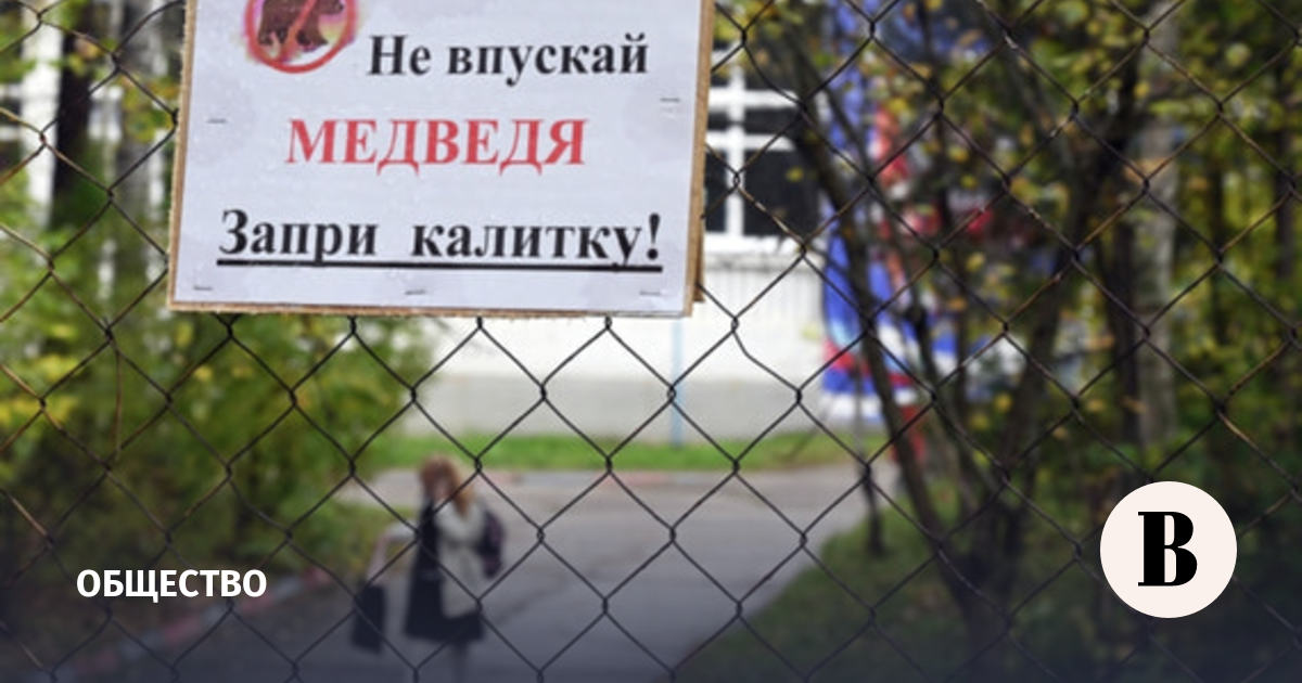 В Красноярском крае добыли более 700 бурых медведей