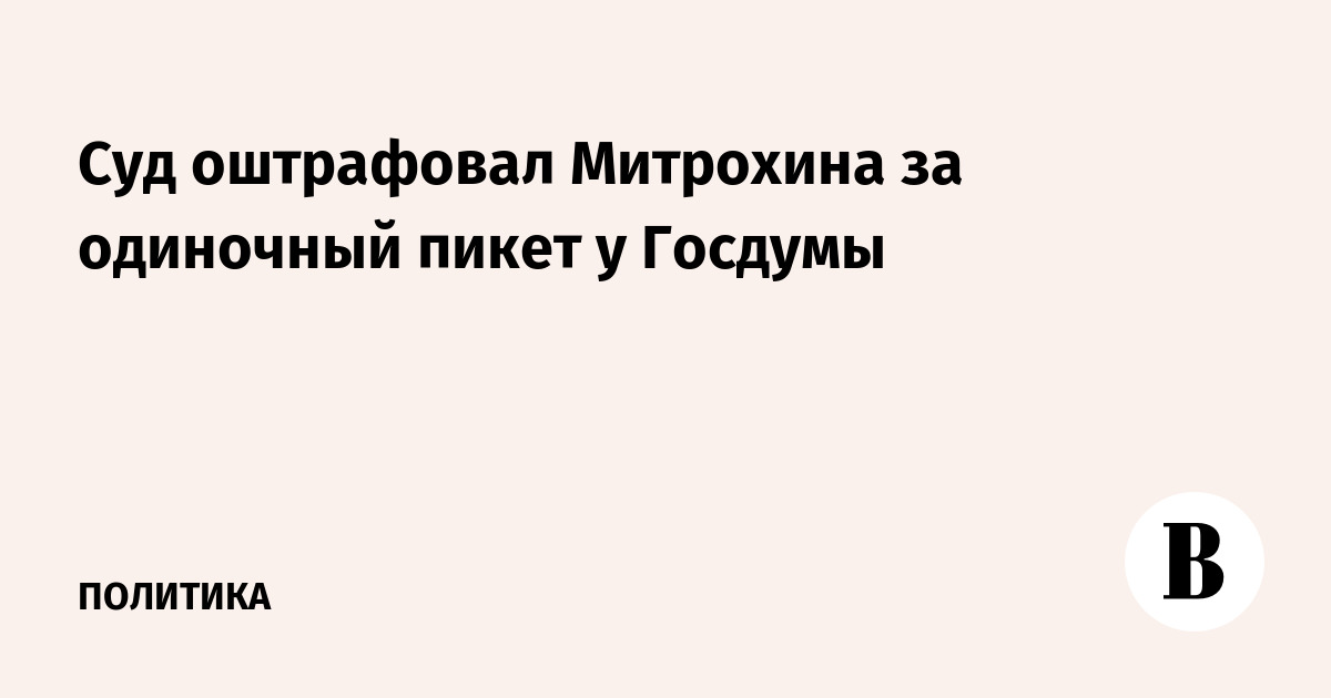 Суд оштрафовал Митрохина за одиночный пикет у Госдумы